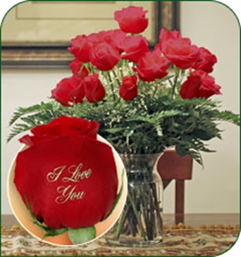 24 Red Roses - I Love You