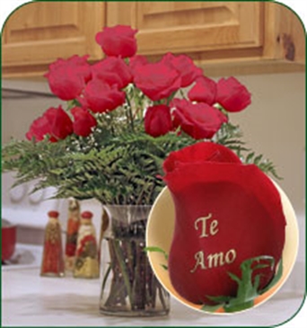 24 Red Roses - Te Amo