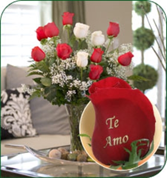 12 Roses - Te Amo (9 Red, 3 White)